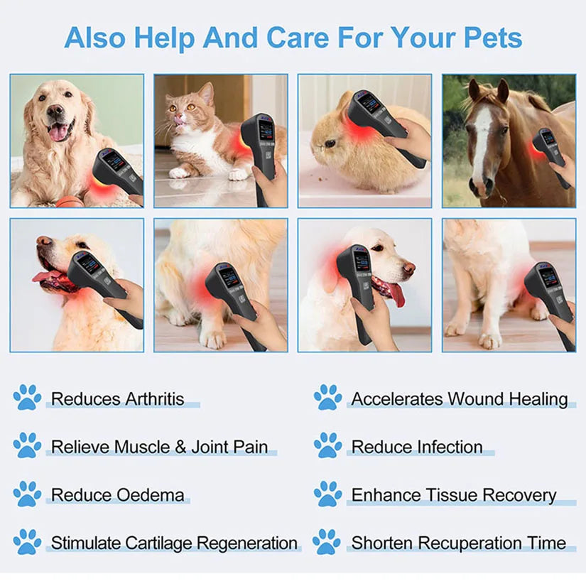 Deep tissue cold laser therapy device professional horse dogs cats health care tool for pain relief 808nm 650nm 880mW 20 diodes