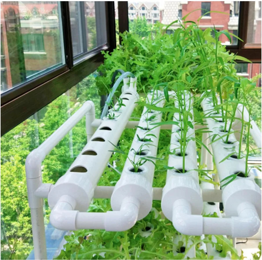 Kit de cultivo para sistema hidropónico