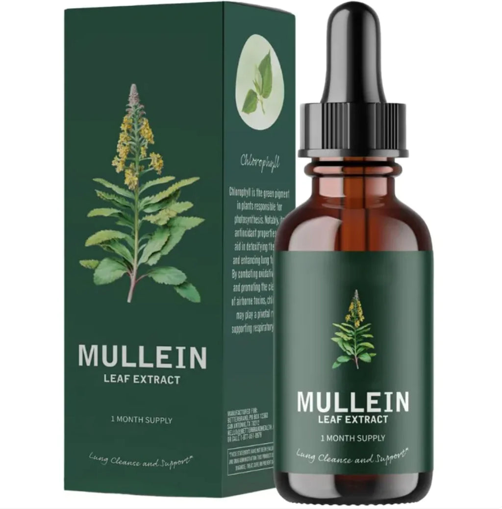 Gouttes d'extrait de feuille de molène