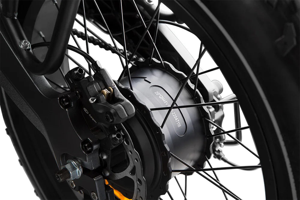 e bike 48v 1000w 25Ah kit electric bike, 20*4.0 inch ebike electric fat tire bike, fat tire electric bike electric motorcycle