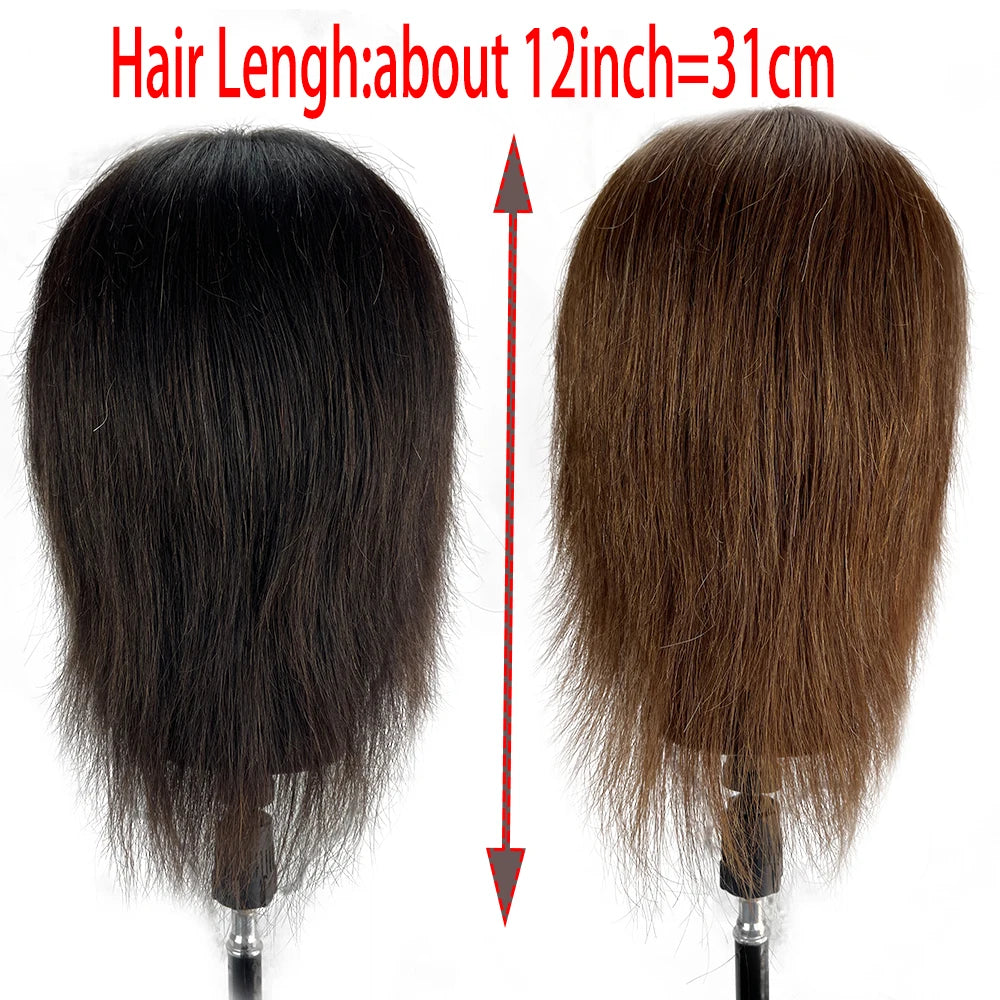 Male Mannequin Head With 100% Real Human Hair Black For Practice Hairdresser Cosmetology Training Doll Head For Hair Styling