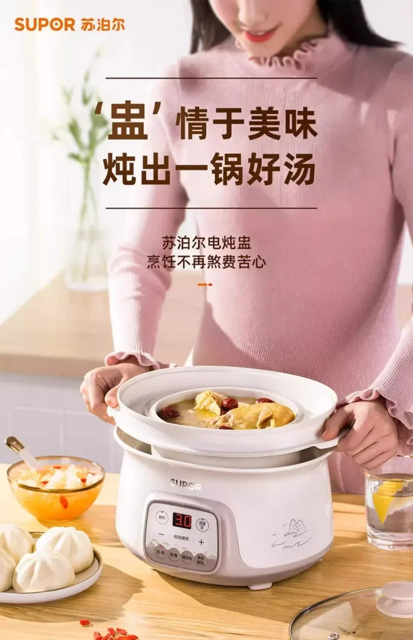 Water-proof electric stew pot household bird's nest electric stew pot ceramic soup cooking porridge food supplement health care