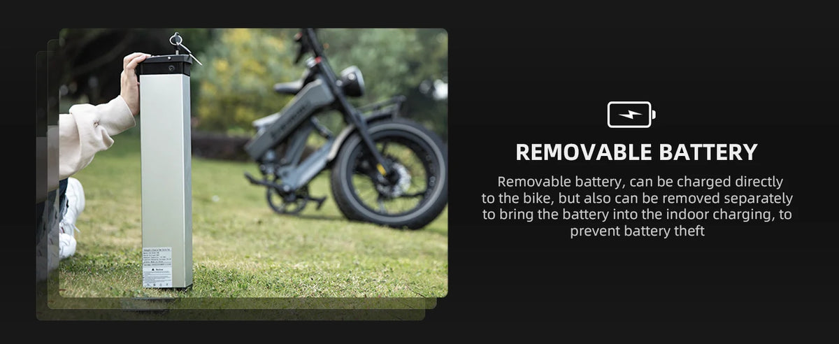e bike 48v 1000w 25Ah kit electric bike, 20*4.0 inch ebike electric fat tire bike, fat tire electric bike electric motorcycle