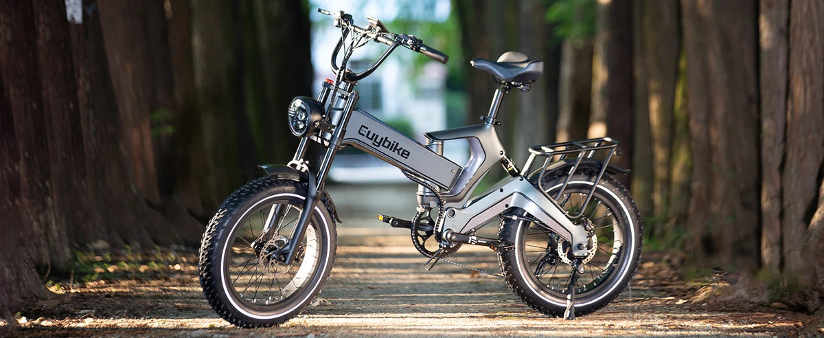 e bike 48v 1000w 25Ah kit electric bike, 20*4.0 inch ebike electric fat tire bike, fat tire electric bike electric motorcycle