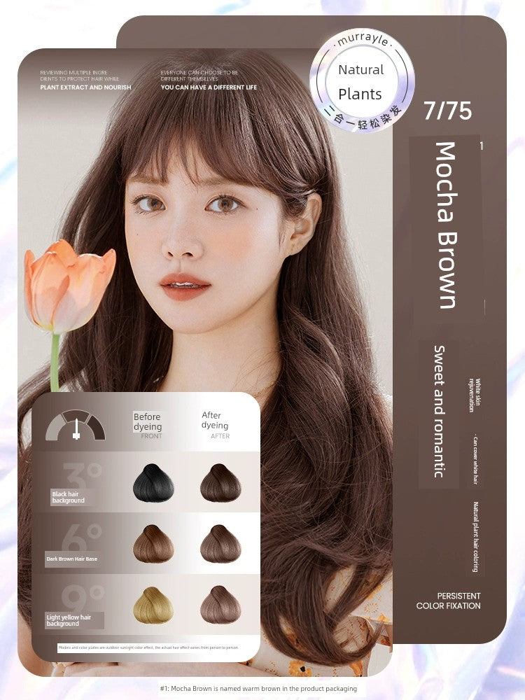 Natural Non-Irritating Dark Brown Plant Bubble Hair Dye