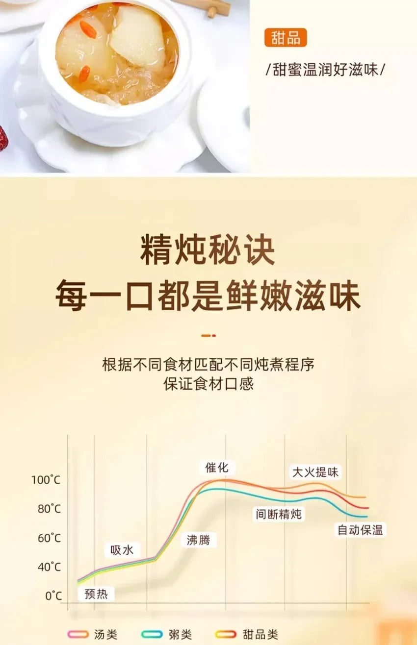 Water-proof electric stew pot household bird's nest electric stew pot ceramic soup cooking porridge food supplement health care