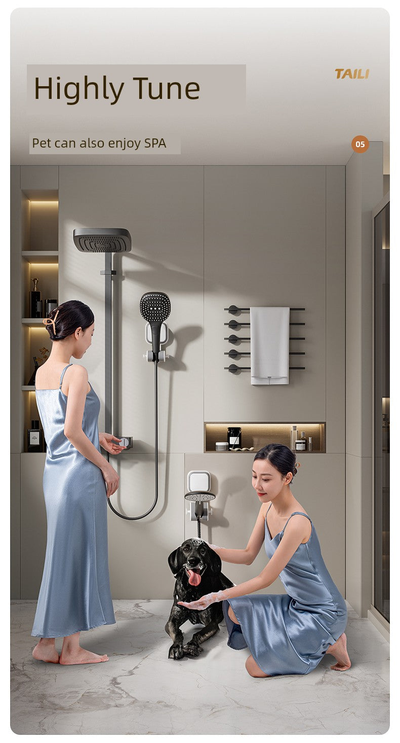 Taili Adjustable Shower Head Fixed Shower Bracket