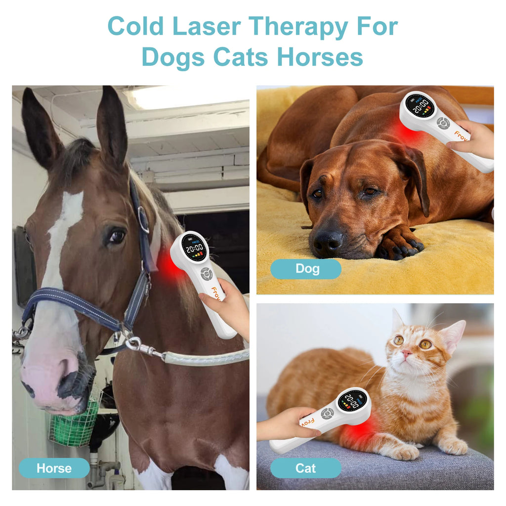 Effective Laser for Shoulder Pain Laser Therapy for Plantar Fasciitis near Me Class iv Laser Therapy for Neuropathy Health Care